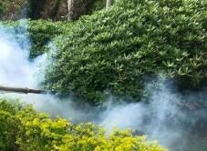 四害消殺完成后，需要做哪些鞏固工作呢？